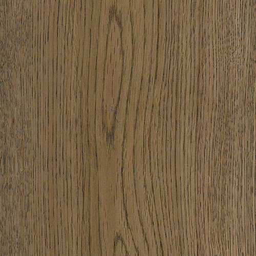 Pioneer Oak - Boulder Creek #115