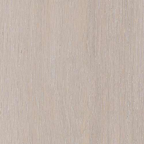 Pioneer Oak - Snow Storm #202