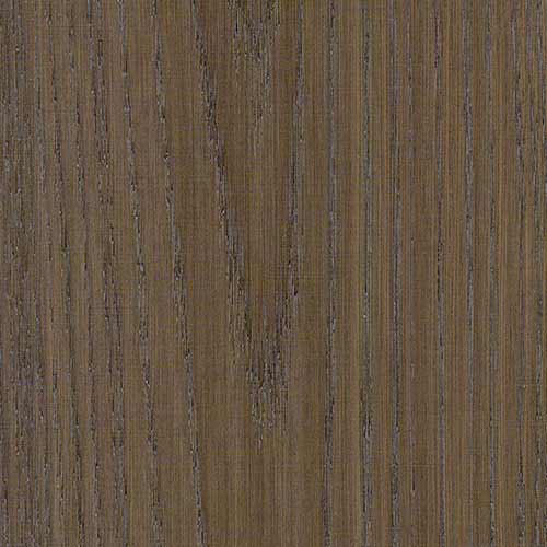 Pioneer Oak - Winter Night #219